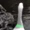 smelly_cat的头像