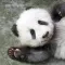 卡比心事的头像