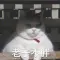 为可乐发疯的头像