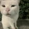每天的meme的头像