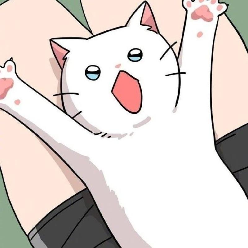 地上一只猫的头像