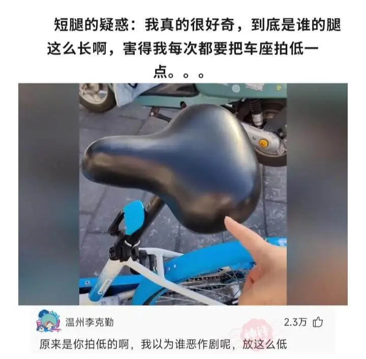 短腿的疑惑:我真的很好奇，到底是谁的腿这么长啊，害得我每次都