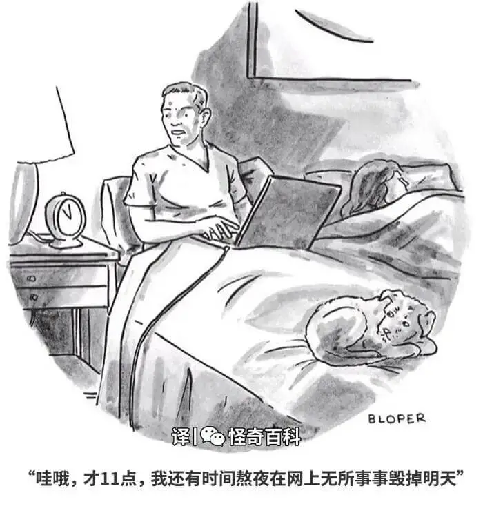 BLOPER译：怪奇百科“哇哦，才11点，我还有时间熬夜在网