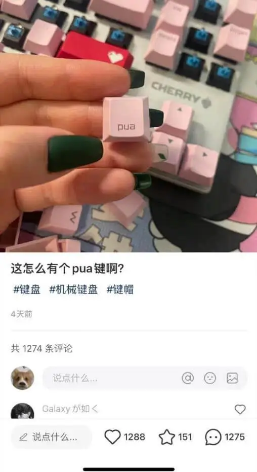 pua这怎么有个pua键啊?键盘机械键盘键帽4天前共1274