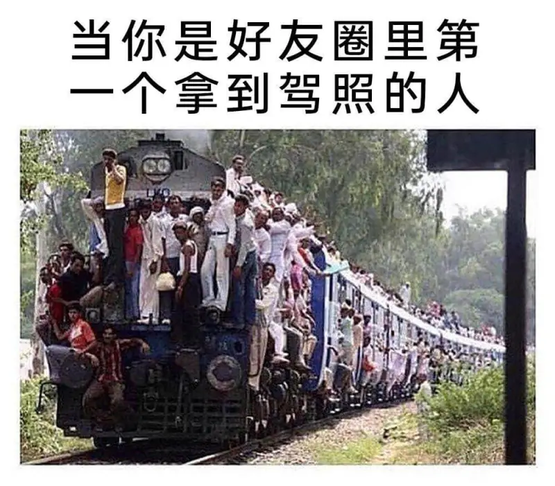 当你是好友圈里第一个拿到驾照的人