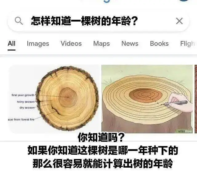 Q怎样知道一棵树的年龄?XAllImagesVideosMa