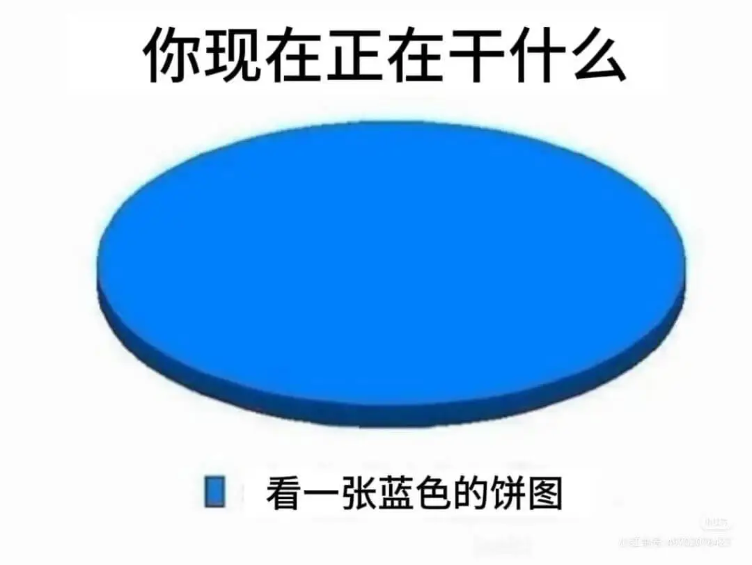 你现在正在干什么？看一张蓝色的饼图。