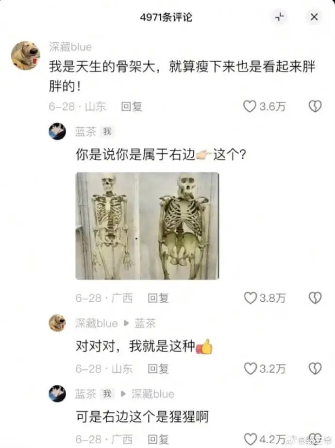 4971条评论X深藏blue我是天生的骨架大，就算瘦下来也是