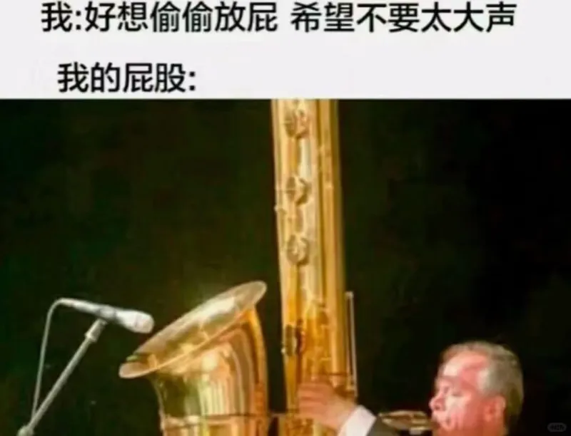 我：好想偷偷放屁希望不要太大声我的屁股：