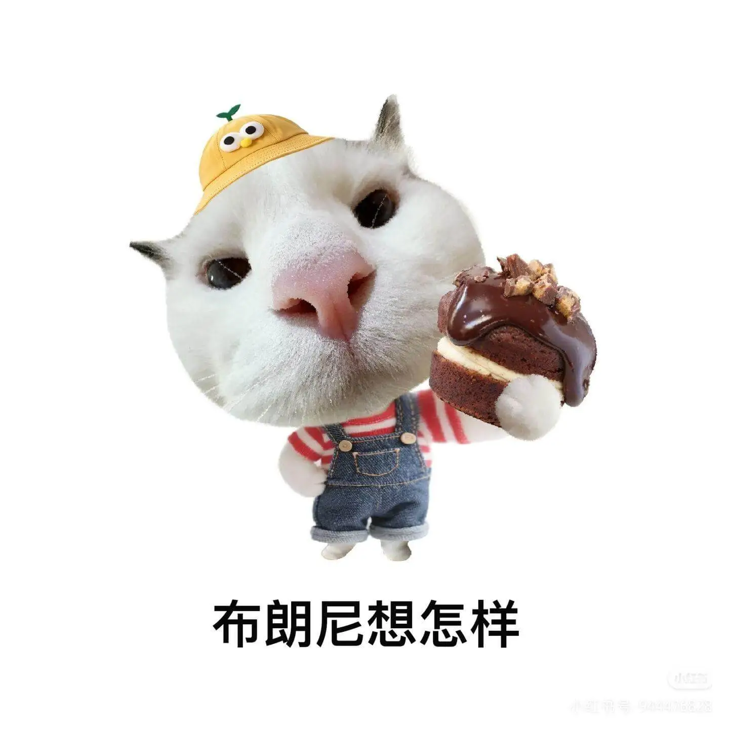 布朗尼想怎样小红书号944476828