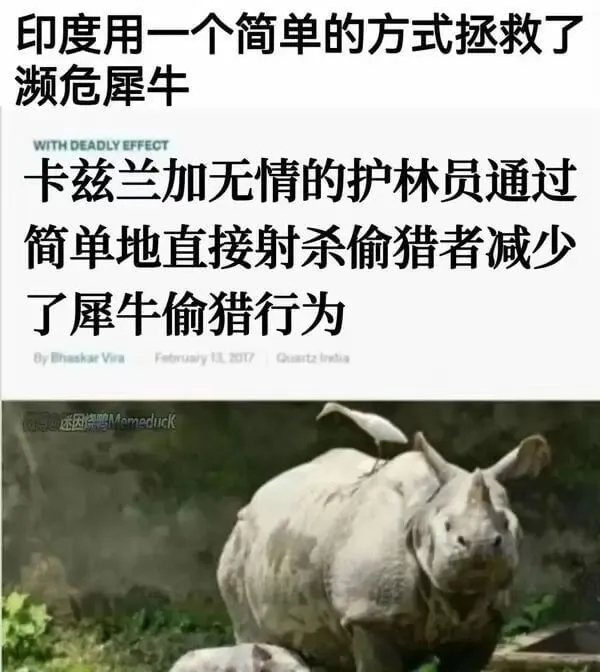 梗图