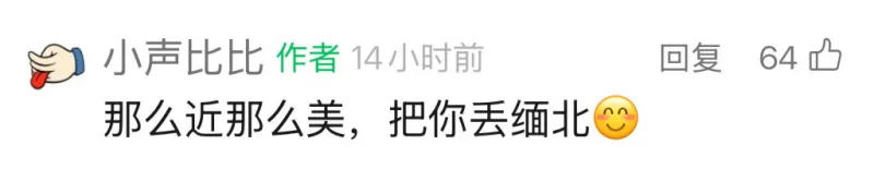 小声比比作者14小时前回复64那么近那么美，把你丢缅北