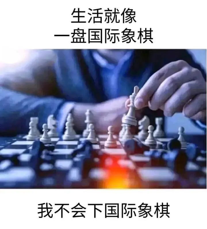生活就像一盘国际象棋，我不会下国际象棋。