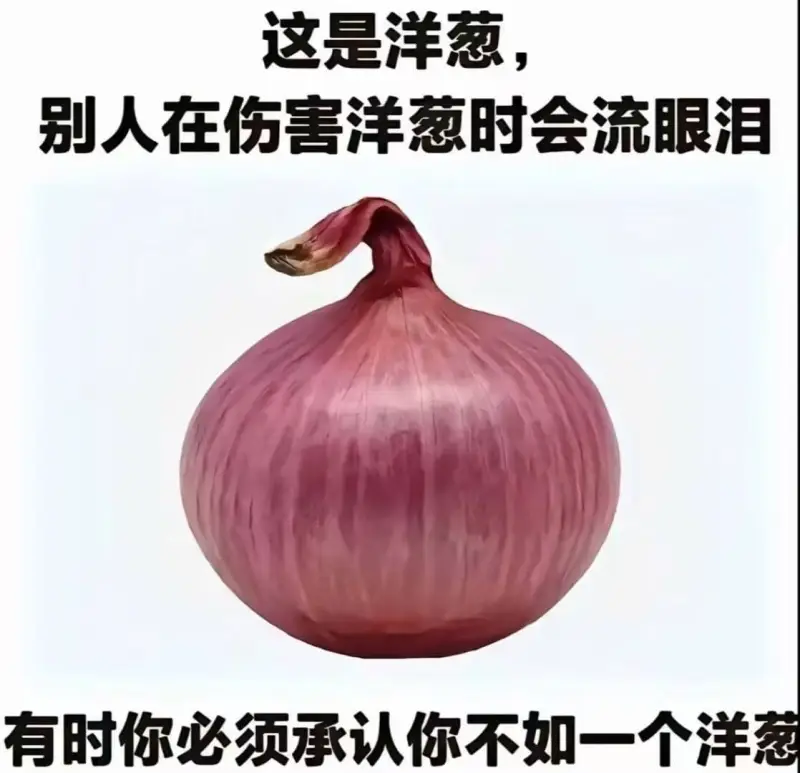 这是洋葱，别人在伤害洋葱时会流眼泪。有时你必须承认你不如一个