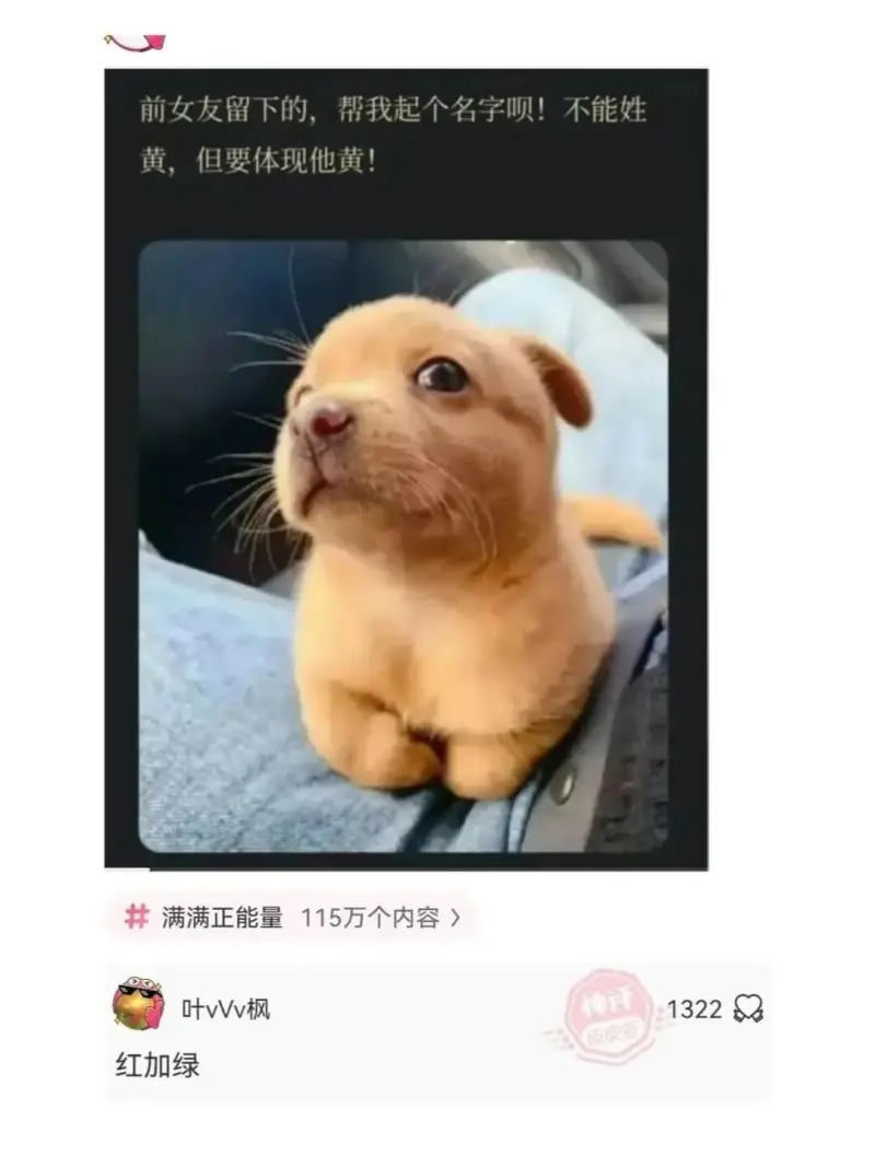 前女友留下的，帮我起个名字呗！不能姓黄，但要体现他黄！满满正