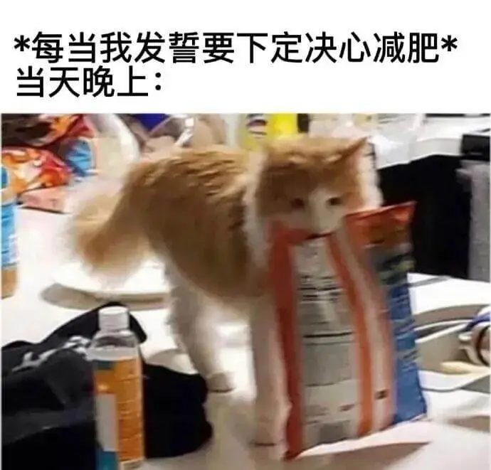 *每当我发誓要下定决心减肥*当天晚上：