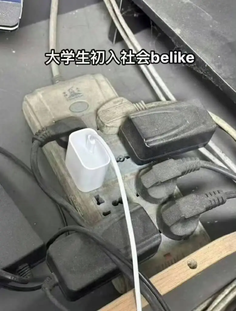 大学生初入社会belike
