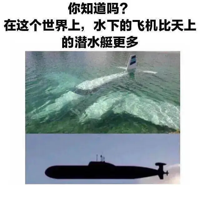 你知道吗？在这个世界上，水下的飞机比天上的潜水艇更多