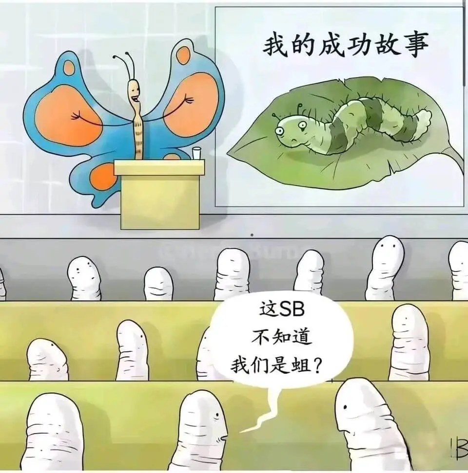 我的成功故事这SB不知道我们是姐？