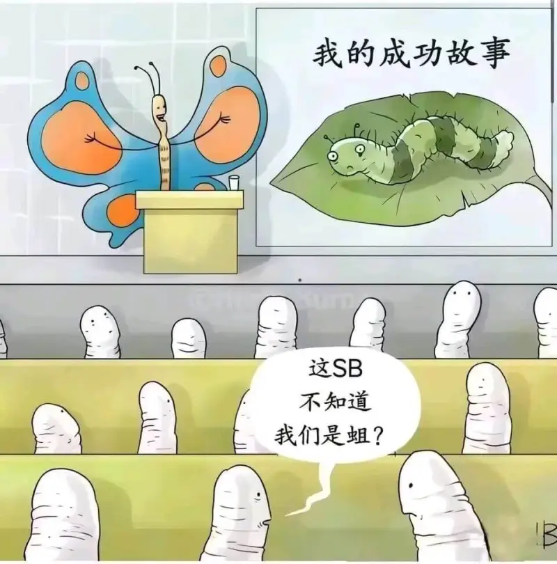 我的成功故事这SB不知道我们是姐？