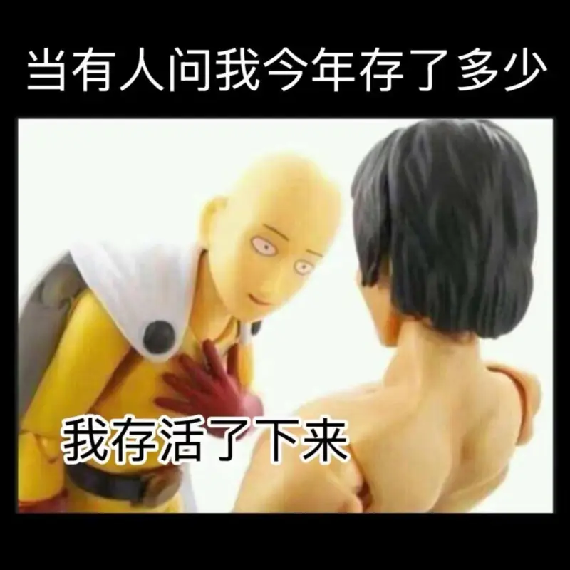 当有人问我今年存了多少，我存活了下来。