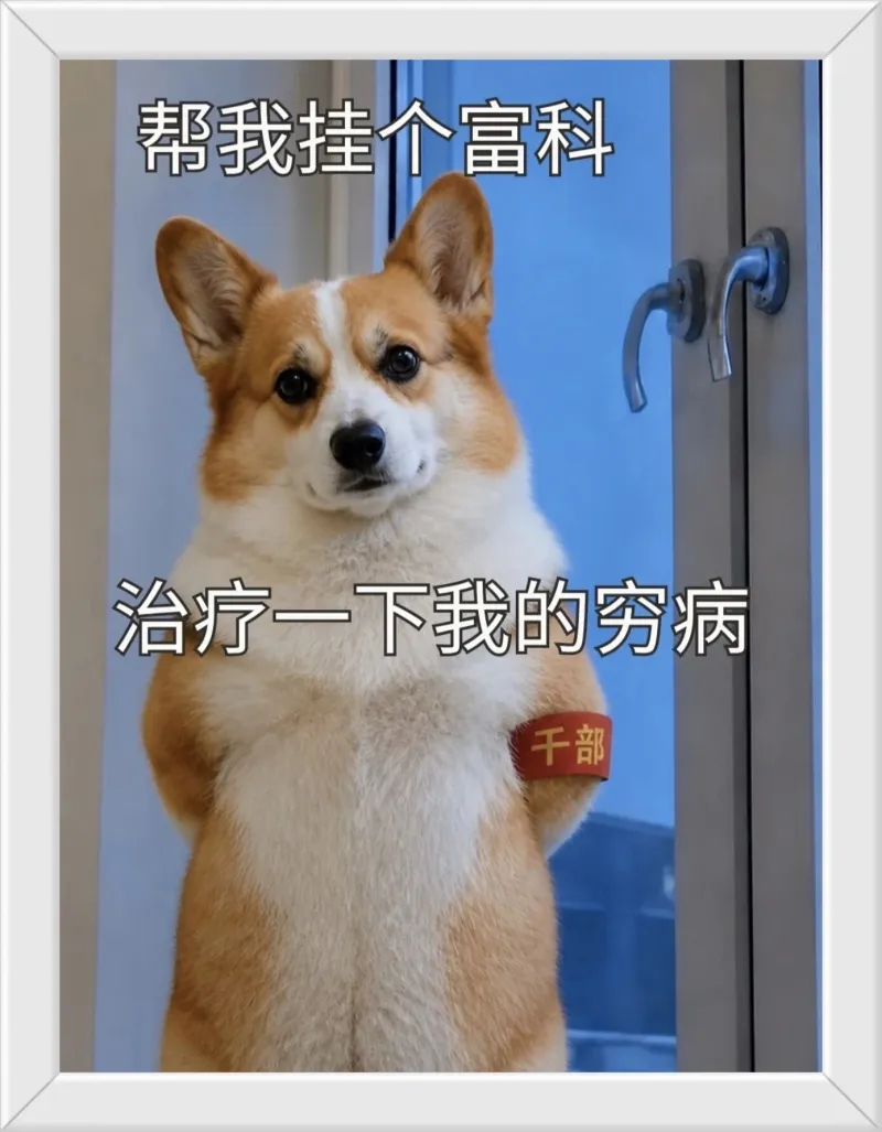 帮我挂个富科哈哈哈哈哈哈哈哈哈哈哈哈哈哈哈