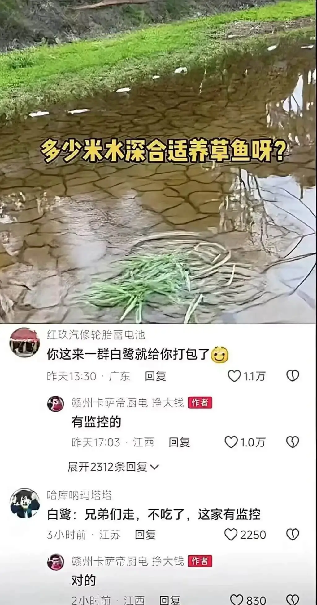 多少米水深合适养草鱼呀?红玖汽修:轮胎、蓄电池你这来一群白鹭