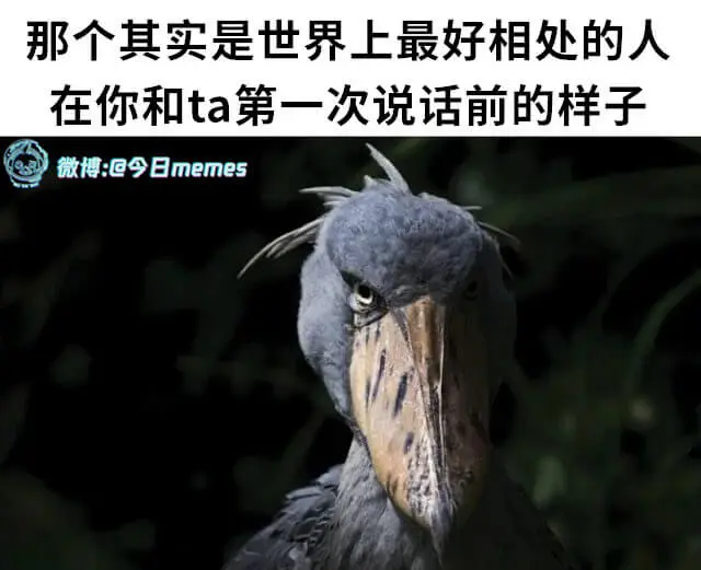 那个其实是世界上最好相处的人在你和ta第一次说话前的样子微博