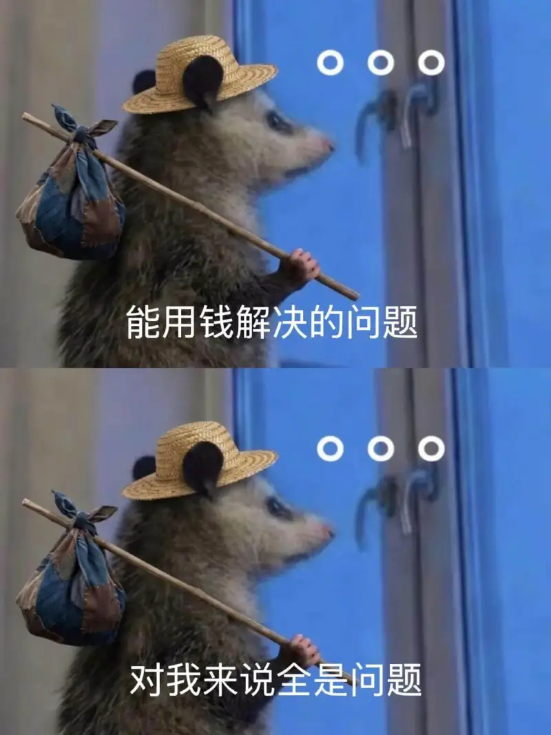 能用钱解决的问题，对我来说全是问题