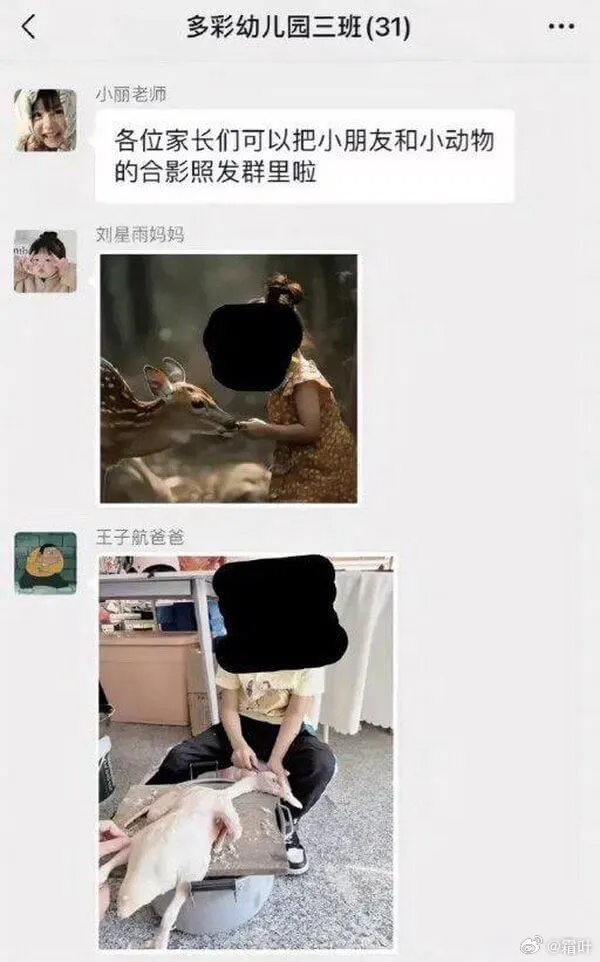多彩幼儿园三班（31）小丽老师各位家长们，可以把小朋友和小动