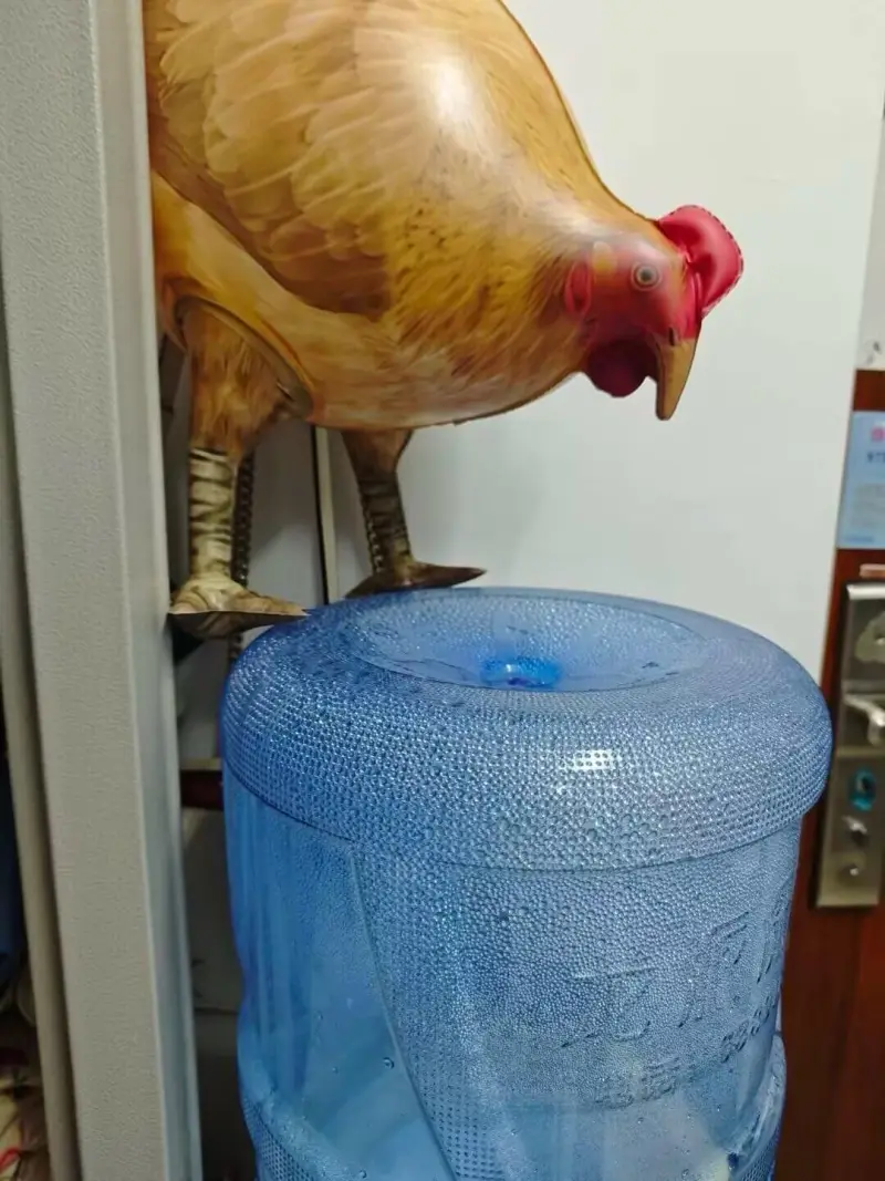 饮水鸡依旧偏爱这种烂梗