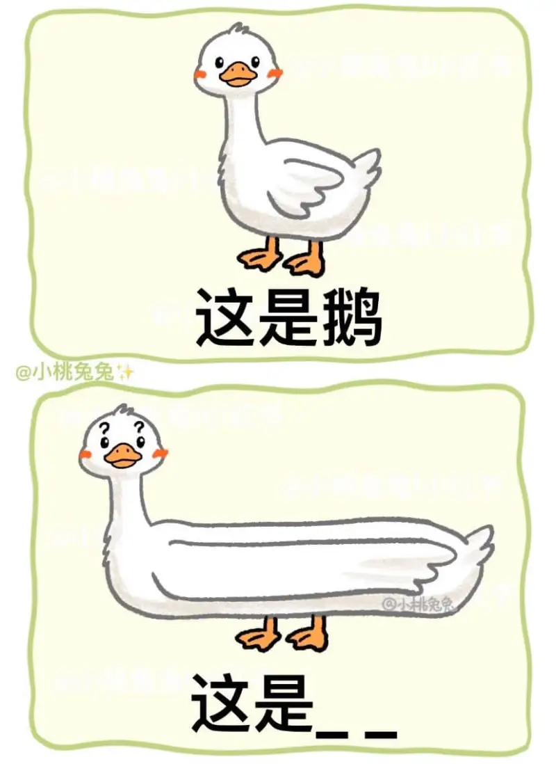 小城电免司红书每小快免免小行免兔红书这是鹅@小桃兔兔+自小免