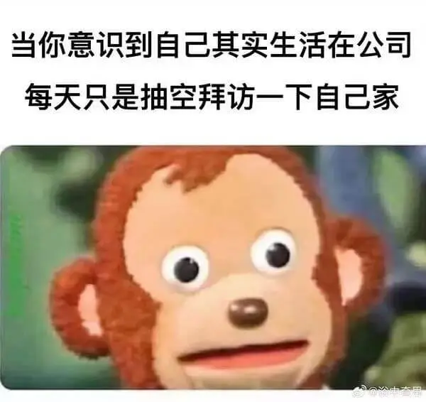 当你意识到自己其实生活在公司，每天只是抽空拜访一下自己家。