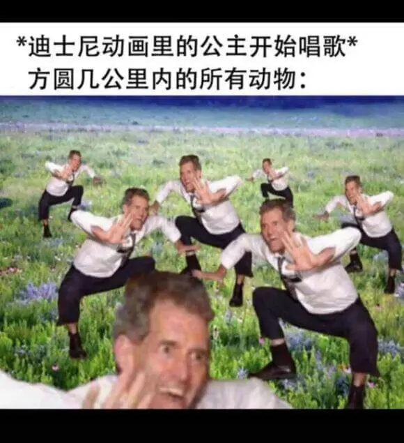 *迪士尼动画里的公主开始唱歌*方圆几公里内的所有动物：