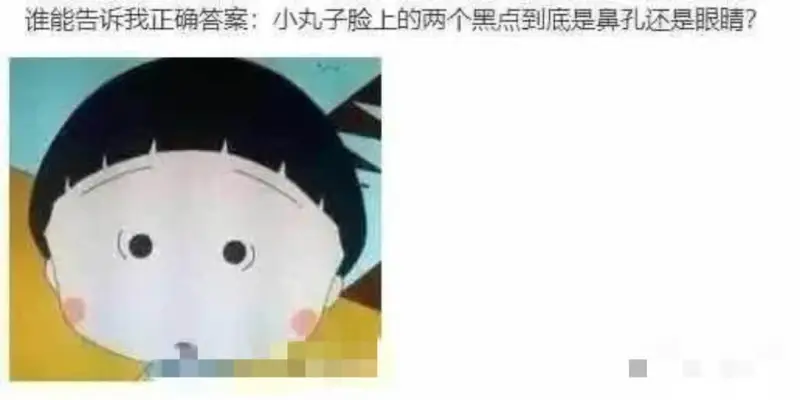 谁能告诉我正确答案:小丸子脸上的两个黑点到底是鼻孔还是眼睛?