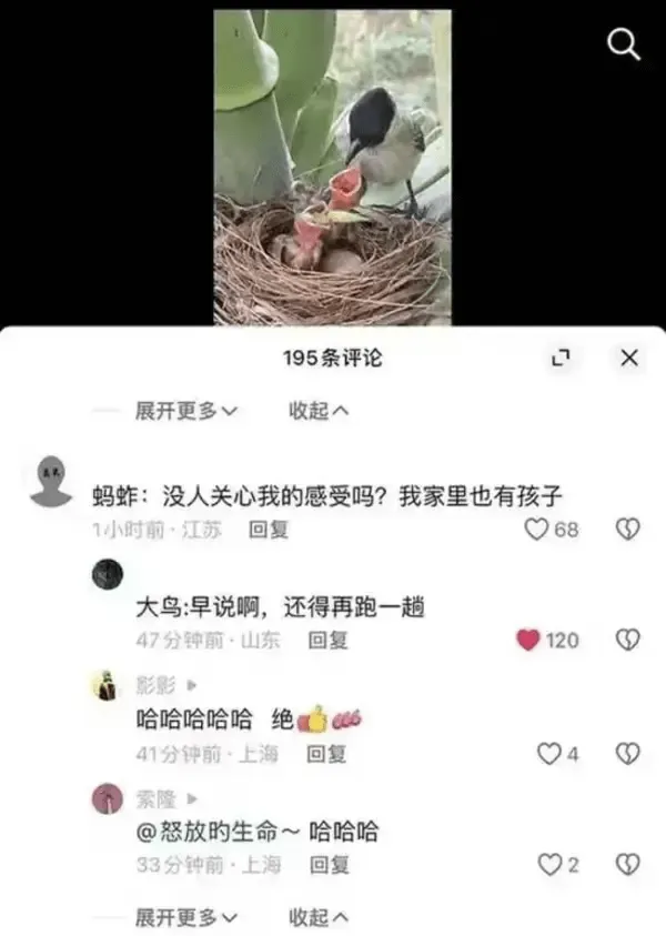 195条评论展开更多收起蚂蚱：没人关心我的感受吗？我家里也有