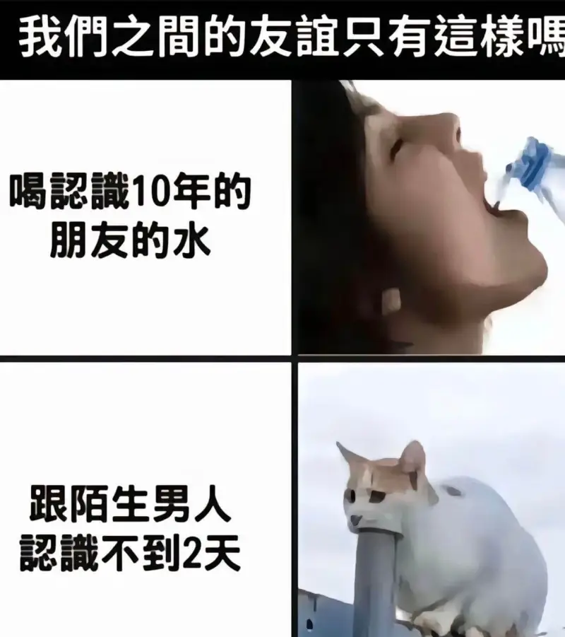 我們之間的友谊只有這檬嘿喝認識10年的朋友的水跟陌生男人識不