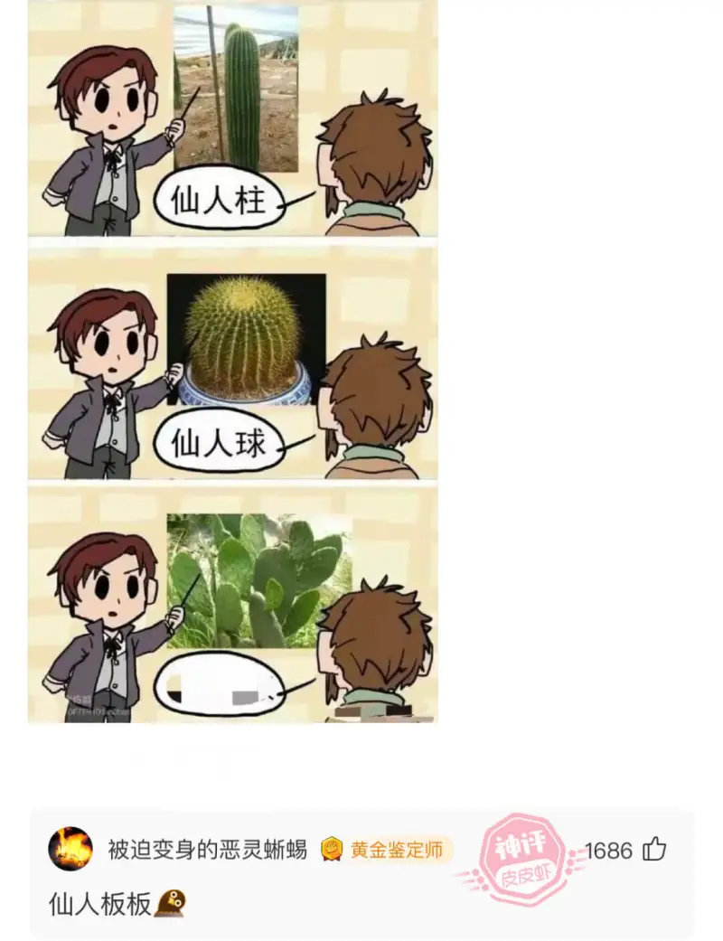 仙人柱仙人球被迫变身的恶灵蜥蜴神评黄金鉴定师1686心皮皮虾