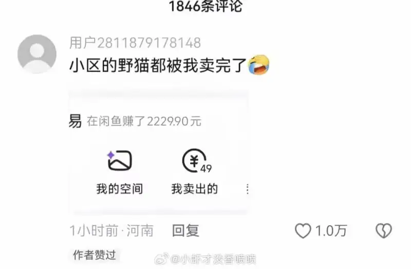1846条评论用户2811879178148：小区的野猫都被