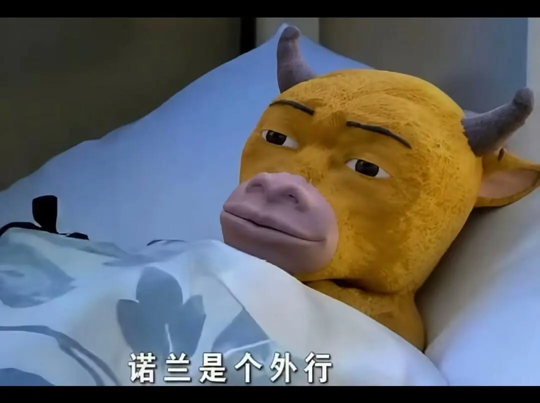 诺兰是个外行