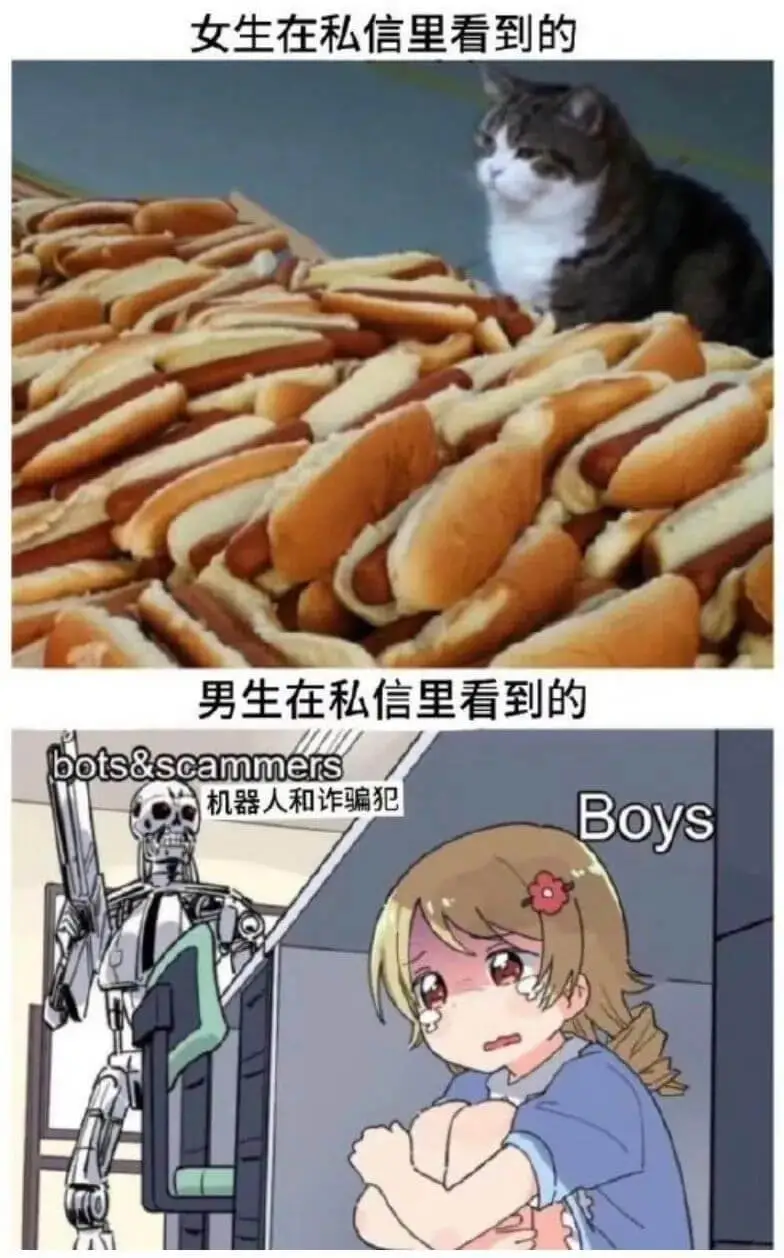 女生在私信里看到的男生在私信里看到的bots&scammer