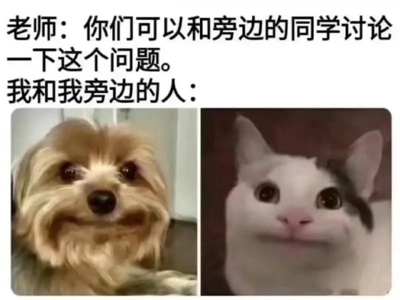老师：你们可以和旁边的同学讨论一下这个问题。我和我旁边的人：