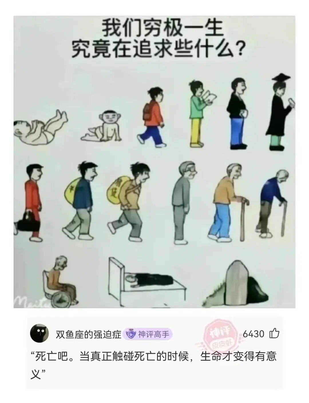 我们穷极一生究竟在追求些什么?双鱼座的强迫症神评高手6430