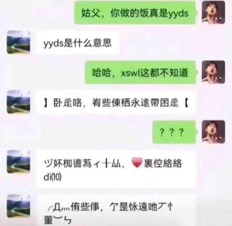 姑父，你做的饭真是yydsyyds是什么意思？哈哈，xSWl