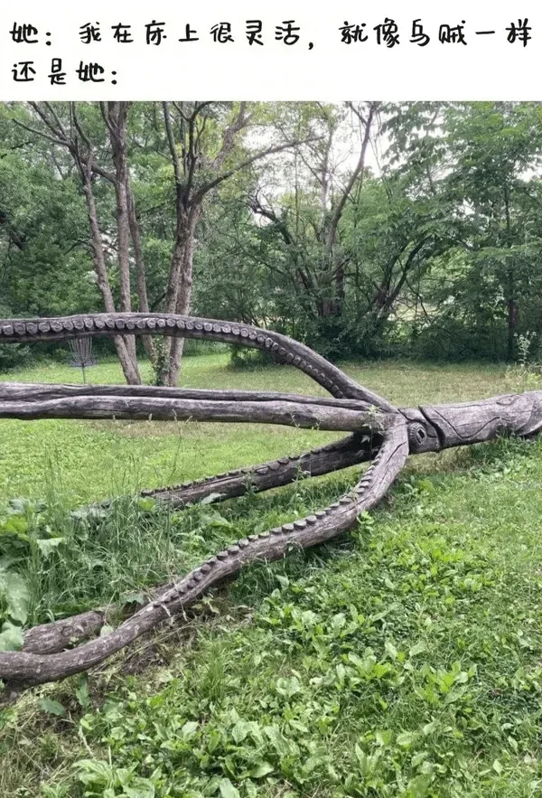她：我在冻上很灵活，就像马贼一样。还是她：