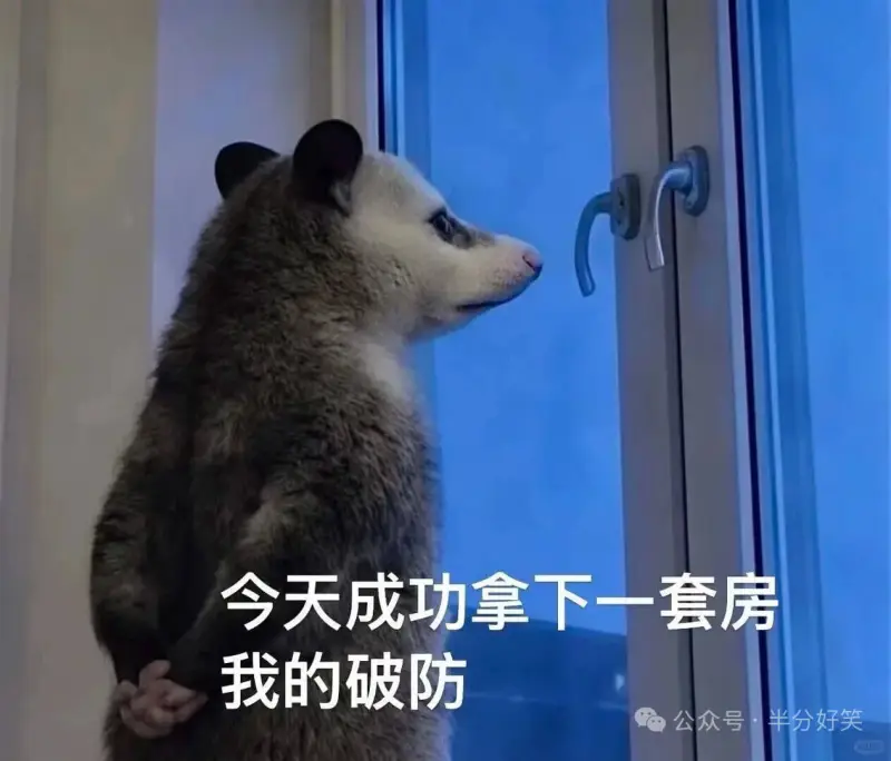 负鼠还是那么权威，字字句句戳心窝，越戳越疼😭