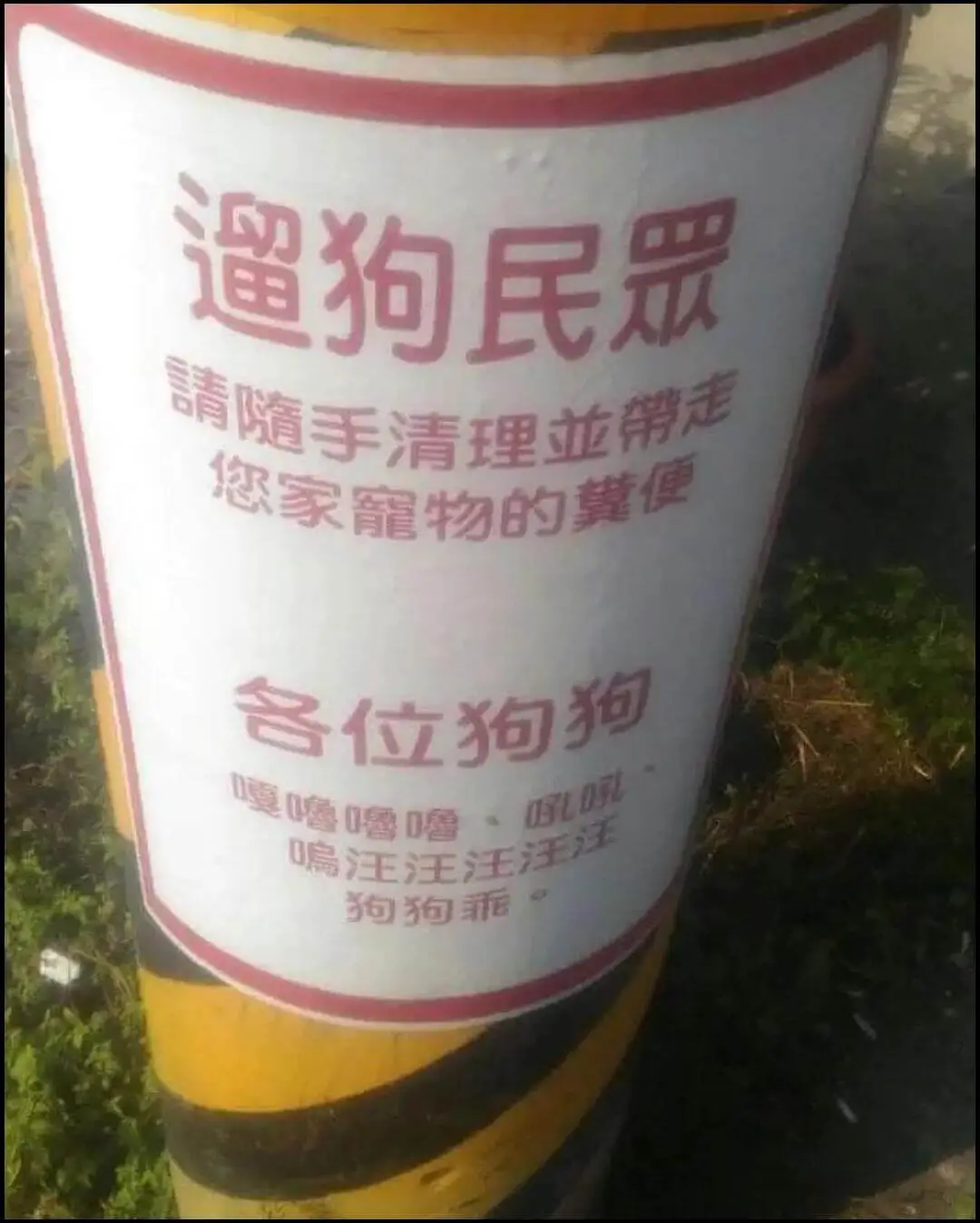 遛狗民各位狗狗，狗狗乖。