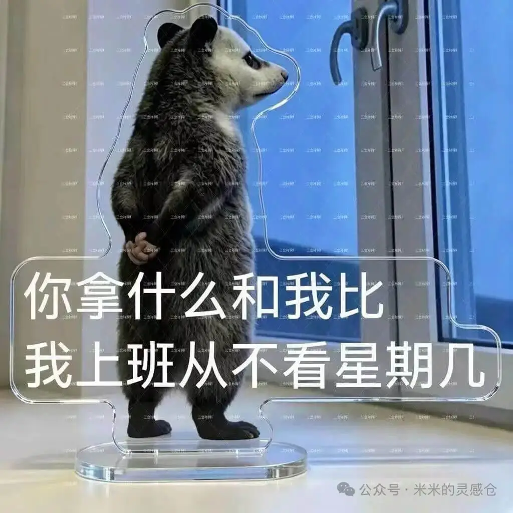 哈哈哈哈哈哈哈笑着笑着就差哭出来了😭