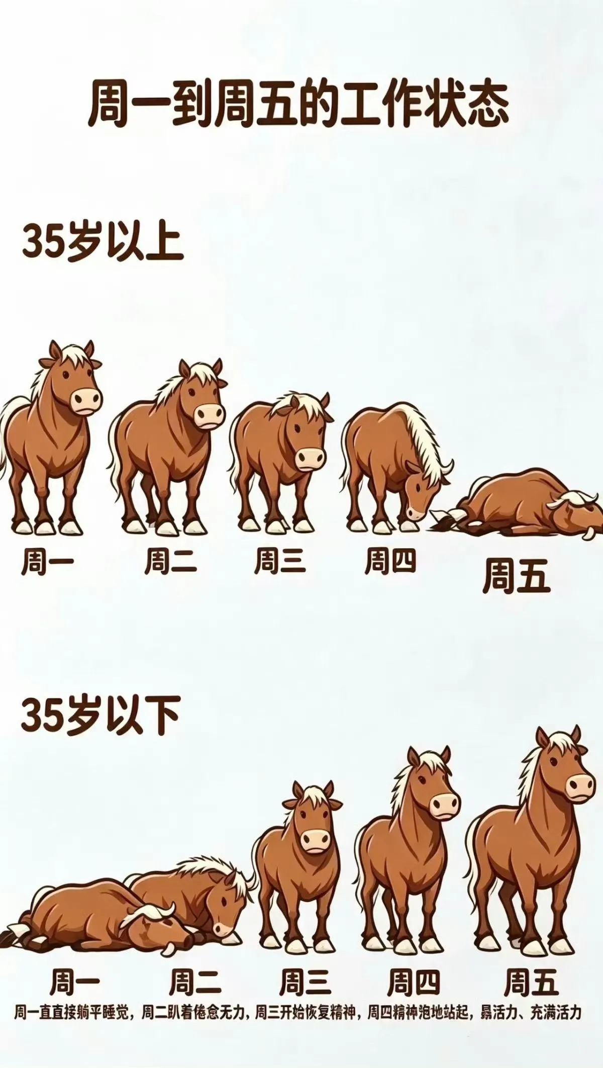 真相了😂😂