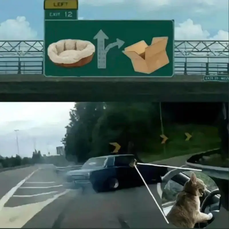 LEFTCT12